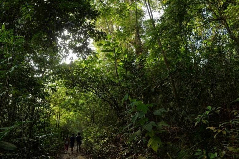 Coronavirus: 2 kelompok yang terdiri dari 20 orang atau lebih diperiksa karena pelanggaran jarak aman di cagar alam